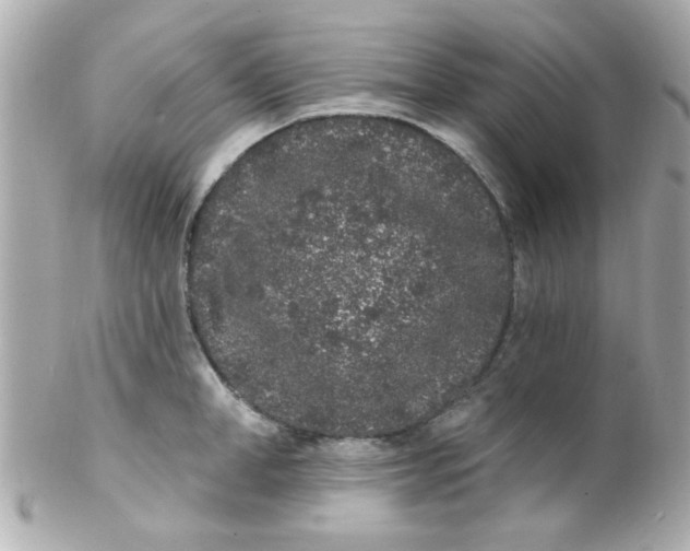 X0000102310998200808152037