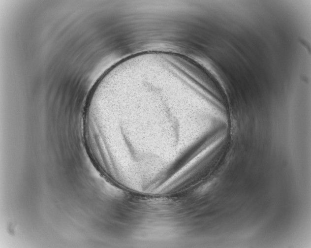 X0000102310999200808152037
