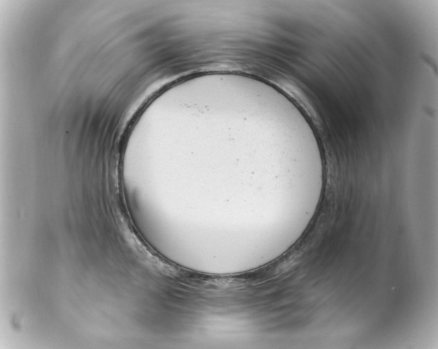 X0000102311000200808152037
