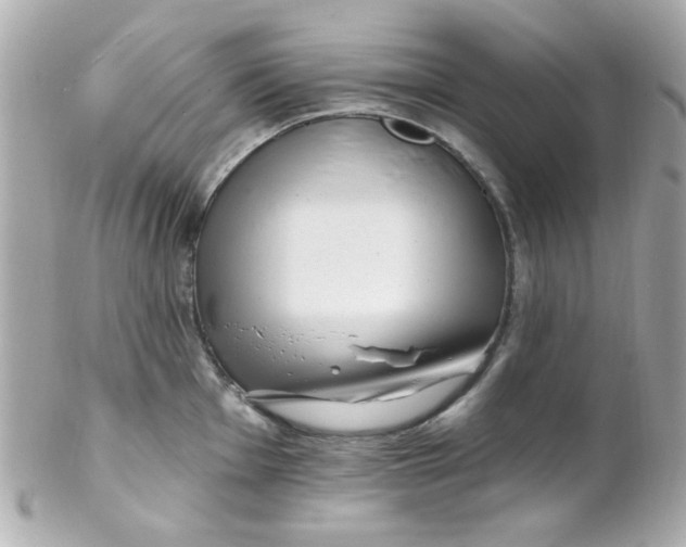 X0000102311001200808152037