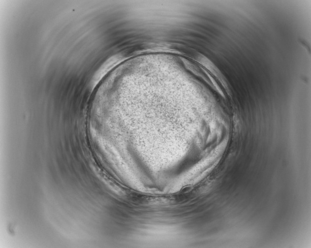 X0000102311002200808152037