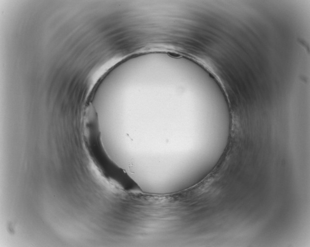 X0000102311003200808152037
