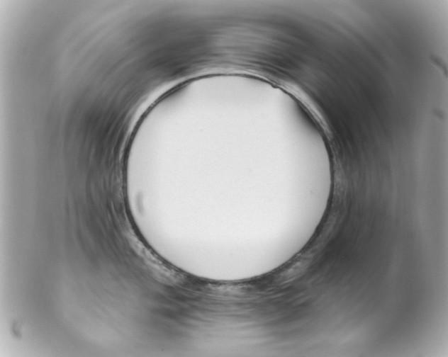 X0000102311004200808152037