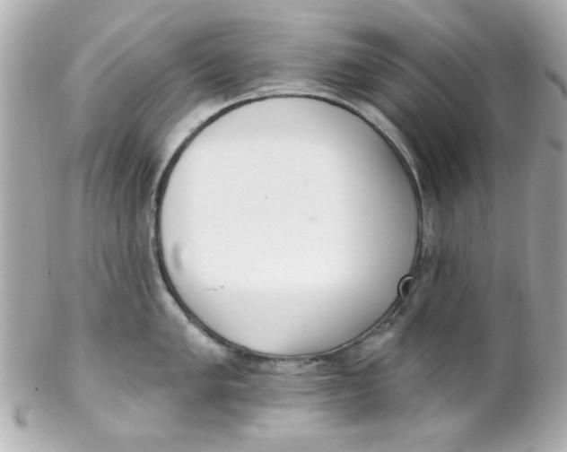 X0000102311005200808152037
