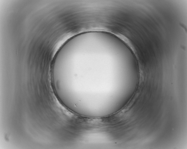 X0000102311006200808152037