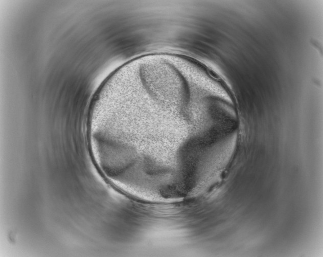 X0000102311007200808152037