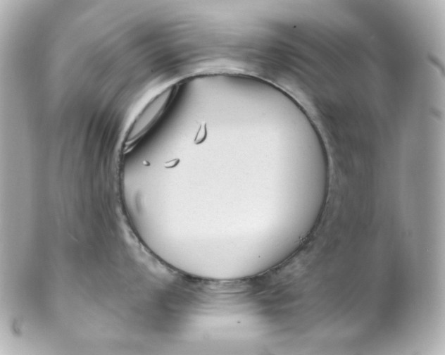 X0000102311008200808152037