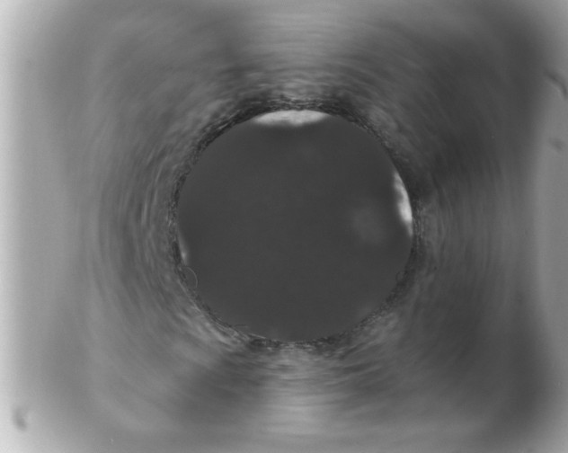 X0000102311009200808152036