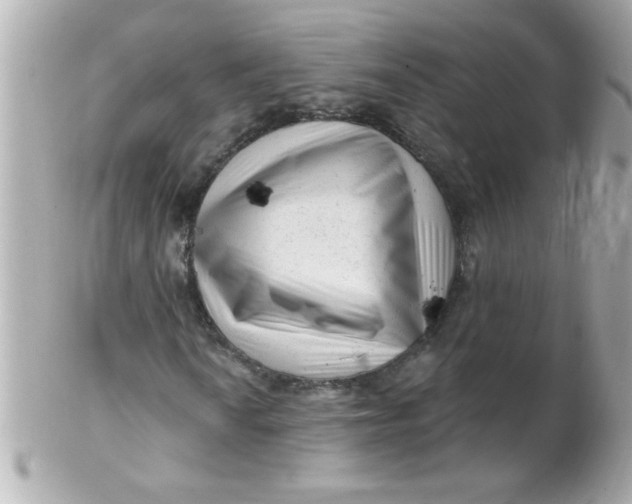 X0000102311010200808152036