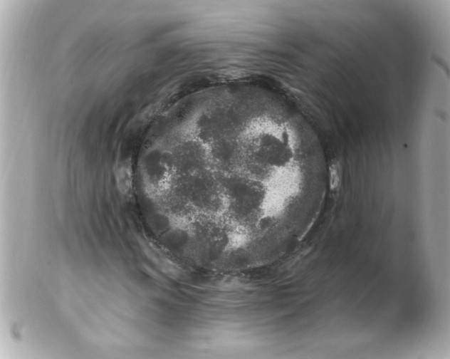 X0000102311011200808152036