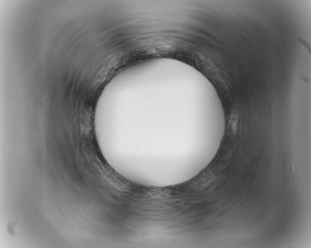 X0000102311012200808152036