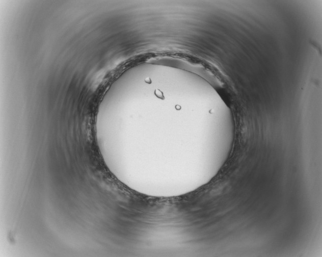 X0000102311016200808152036