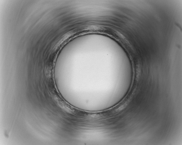 X0000102311017200808152036