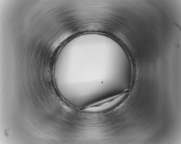X0000102311018200808152036
