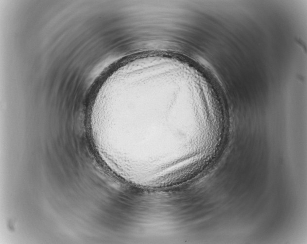 X0000102311019200808152036