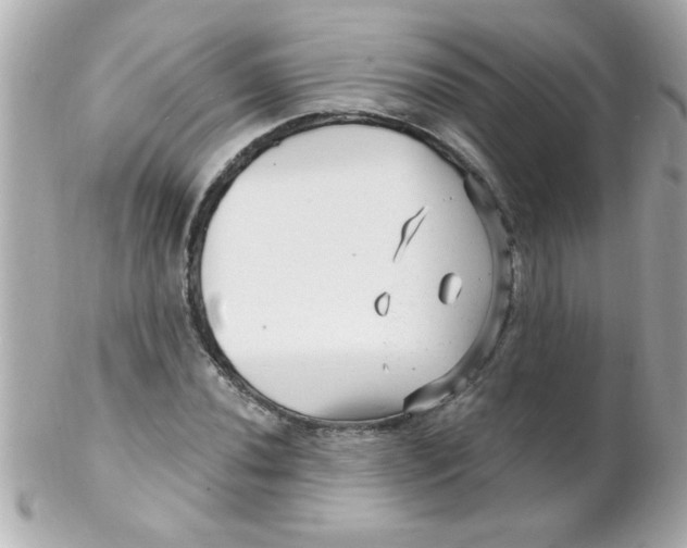 X0000102311020200808152036