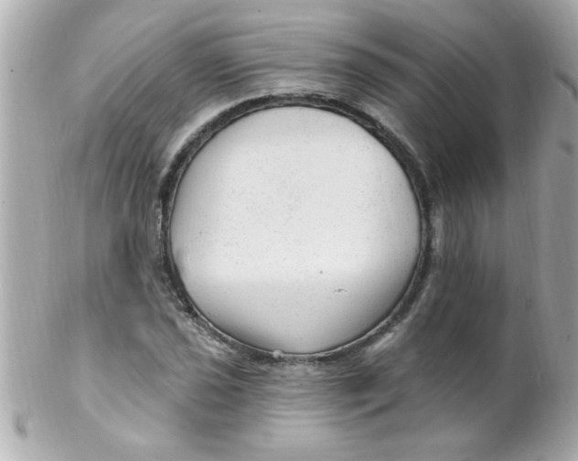 X0000102311021200808152036