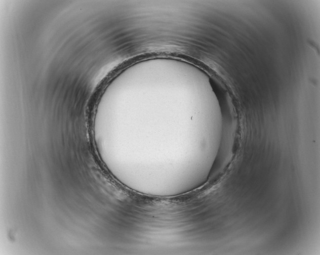 X0000102311022200808152036