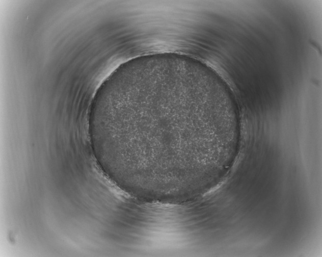 X0000102311023200808152036