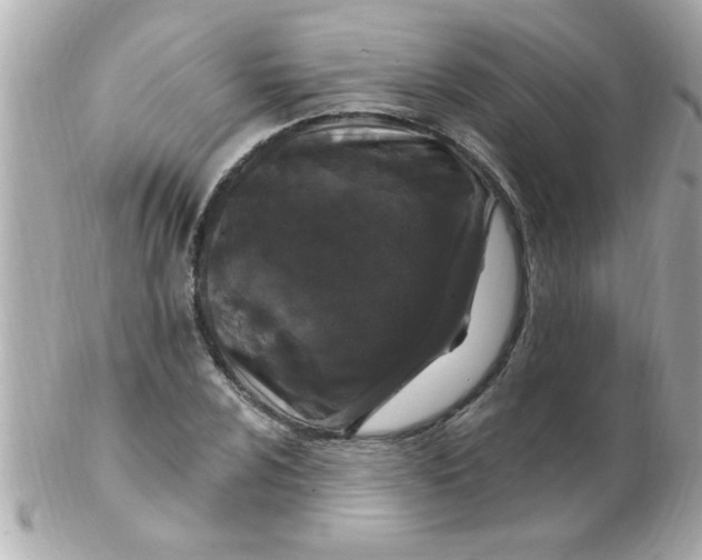 X0000102311024200808152036