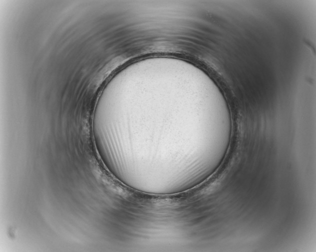 X0000102311025200808152036