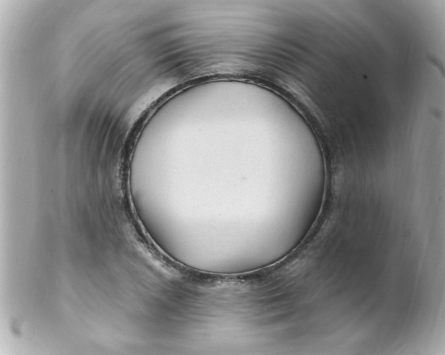 X0000102311026200808152036