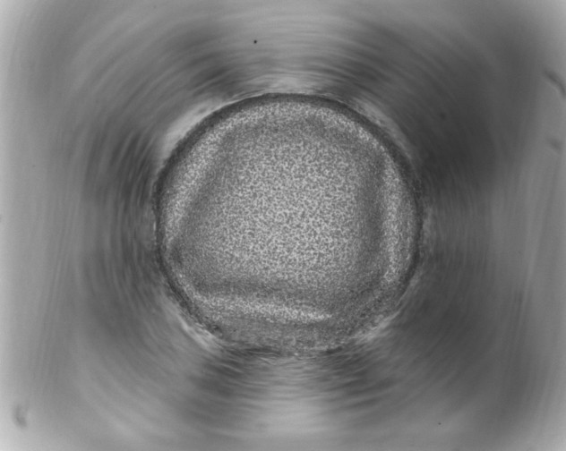X0000102311027200808152036