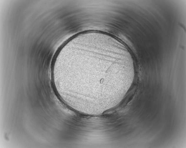 X0000102311028200808152036