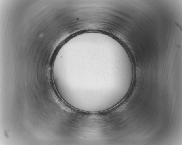 X0000102311029200808152036