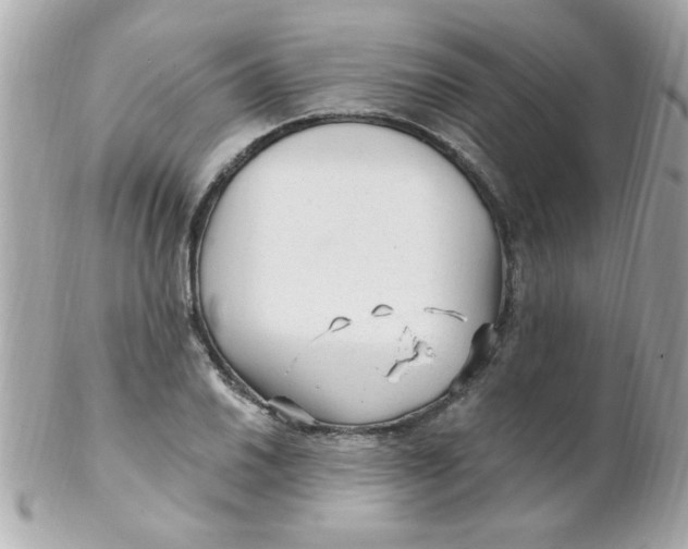 X0000102311030200808152036