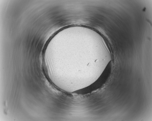 X0000102311032200808152036