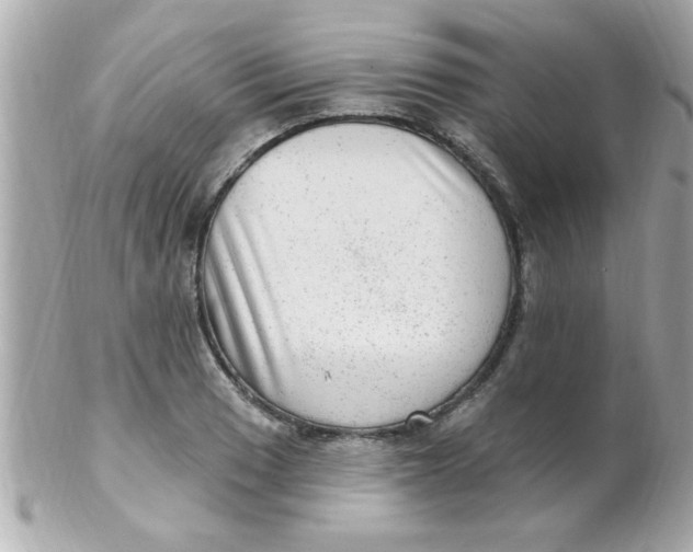 X0000102311033200808152036