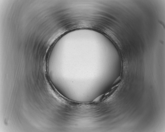 X0000102311034200808152036