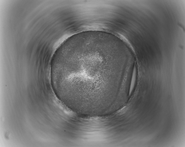 X0000102311035200808152036