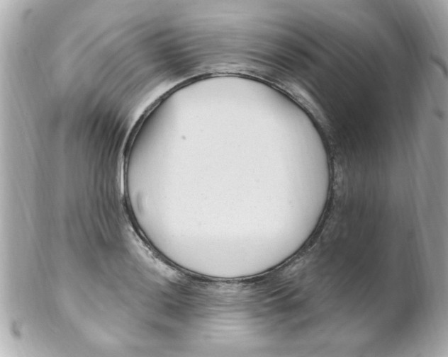 X0000102311036200808152036