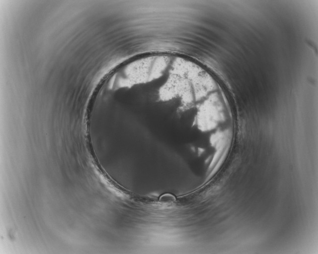 X0000102311037200808152036