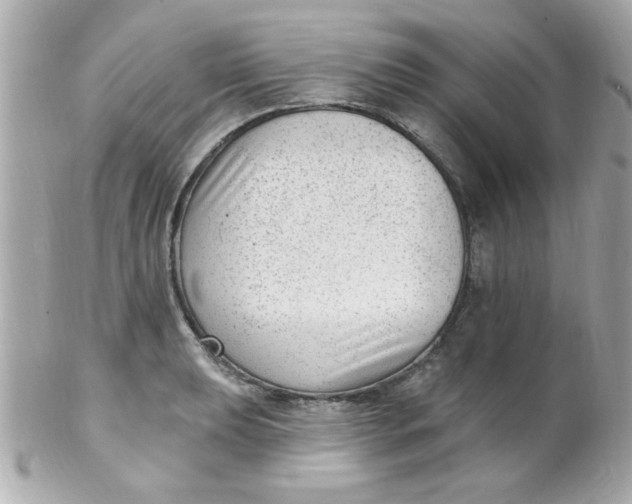 X0000102311039200808152036