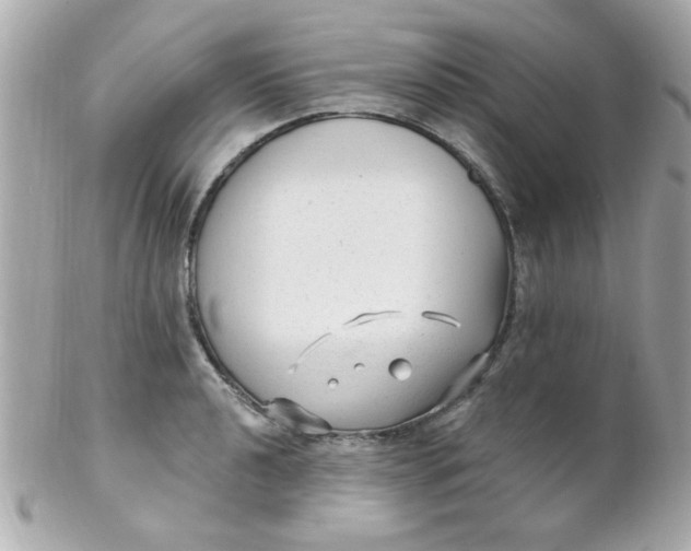 X0000102311040200808152036