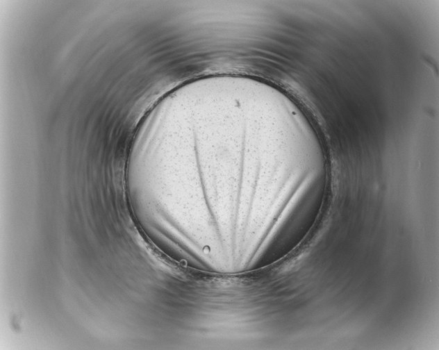 X0000102311041200808152036