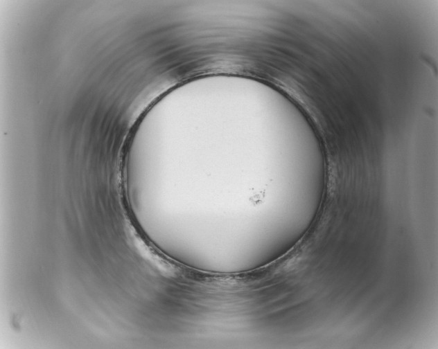 X0000102311042200808152036