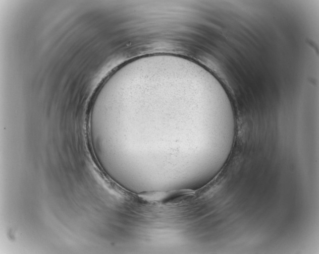 X0000102311043200808152036
