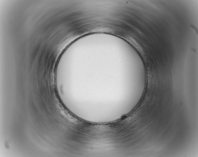 X0000102311044200808152036