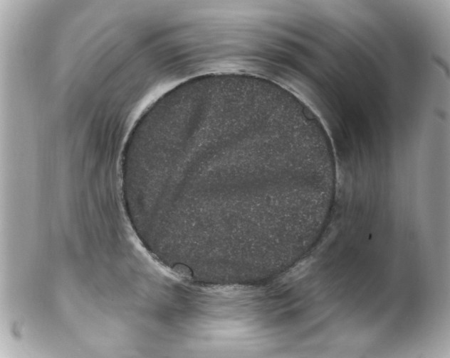 X0000102311045200808152036