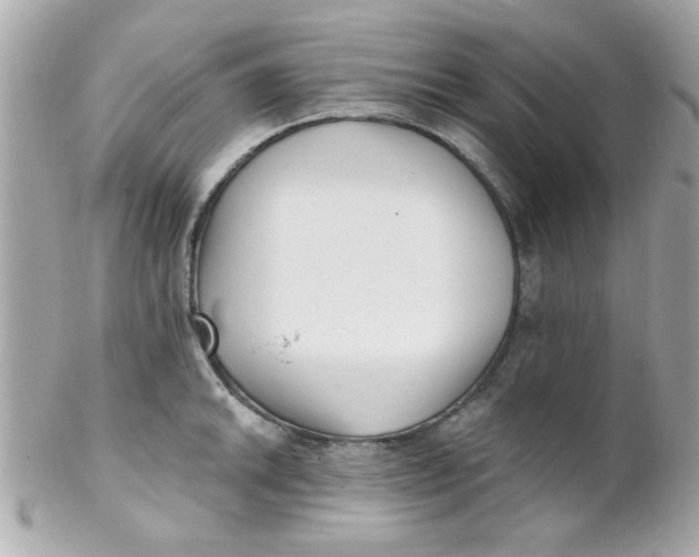 X0000102311046200808152036