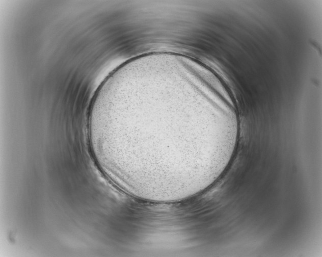 X0000102311048200808152036