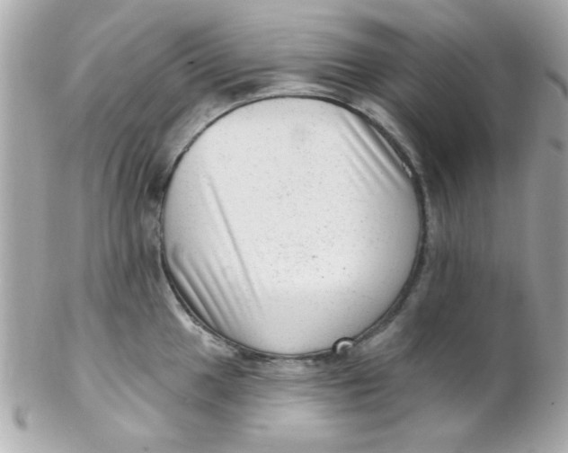 X0000102311049200808152036