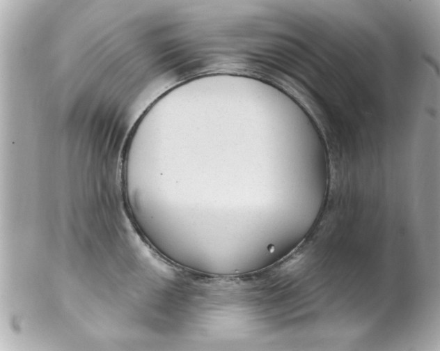 X0000102311050200808152036