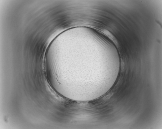 X0000102311052200808152036