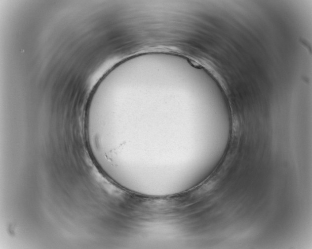 X0000102311054200808152037
