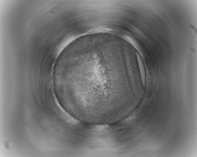 X0000102311055200808152037